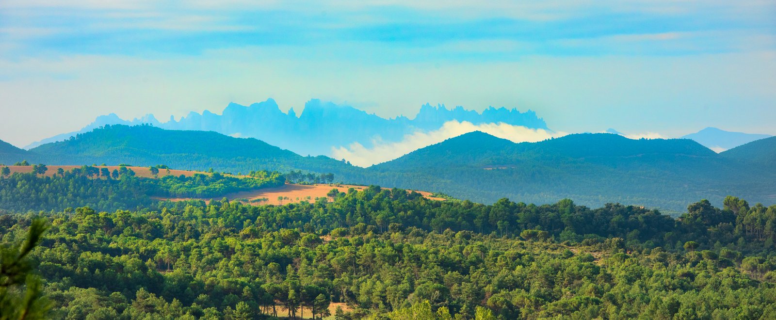 LandscapeHeader Landscape header