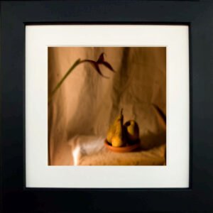 Still Life