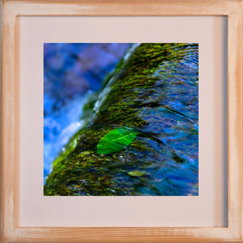 Leaf - Image 4