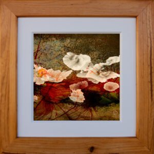 abstract flower