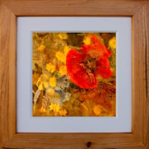Poppy abstract painting