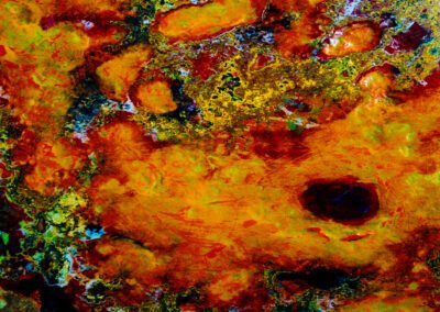 SunDance an abstract painting by McRostie
