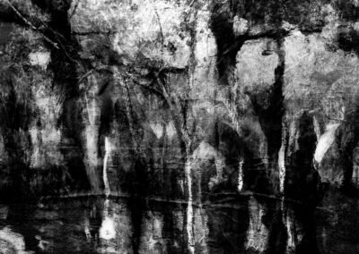 Dancing Forrest Queen by McRostie
