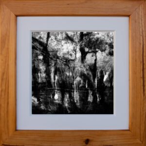 Dancing Forrest Queen